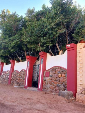 Red oasis apartment